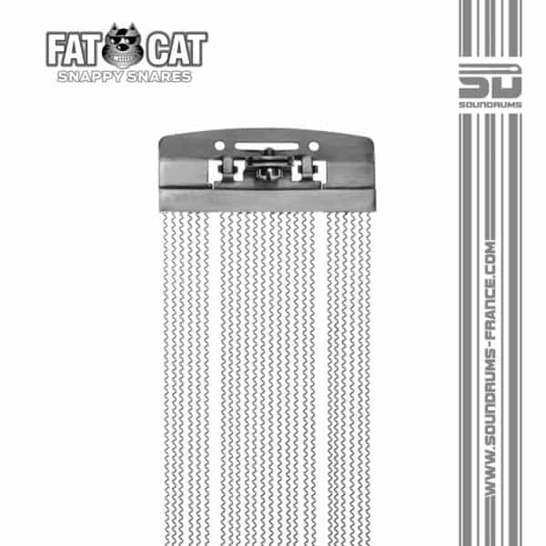 Timbre fatcat soundrums